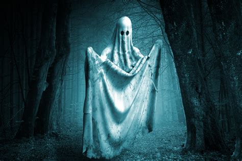 Ghost In The Forest Free Stock Photo - Public Domain Pictures