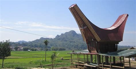 Rumah Adat Tongkonan, Rumah Toraja Penuh Keunikan! - Blog ruparupa