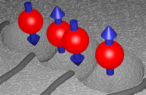 Shielded quantum bits - Innovations Report