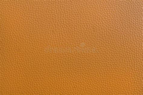 Light Brown Leather Texture Stock Image - Image of rough, space: 13119233