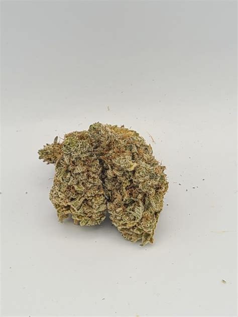 Blackberry Kush – THC HERBALIST