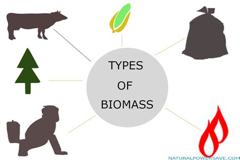 Aliviar Hay una tendencia emocionante bio energy advantages and ...