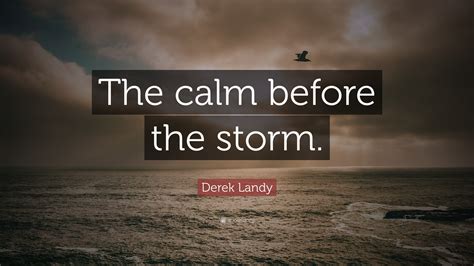 Calm Before The Storm Quotes - SERMUHAN