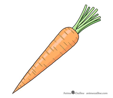 Discover 135+ realistic carrot drawing - seven.edu.vn