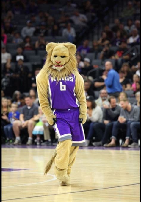 Sacramento Kings' mascot | Sacramento kings, Basketball leagues, Winter jackets