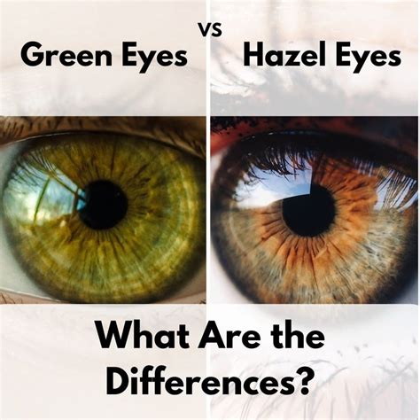 The Difference Between Green and Hazel Eyes | Hazel eyes, Hazel green eyes, Green eyes