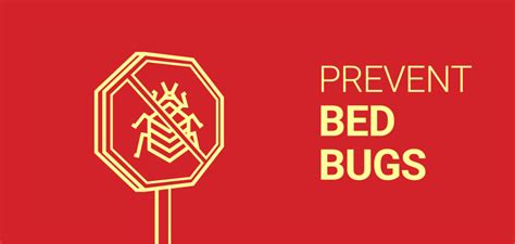 Ways to Prevent Bed Bugs - Dodson Pest Control