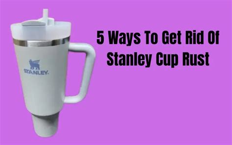 5 Ways To Get Rid Of Stanley Cup Rust - The Stan Collector