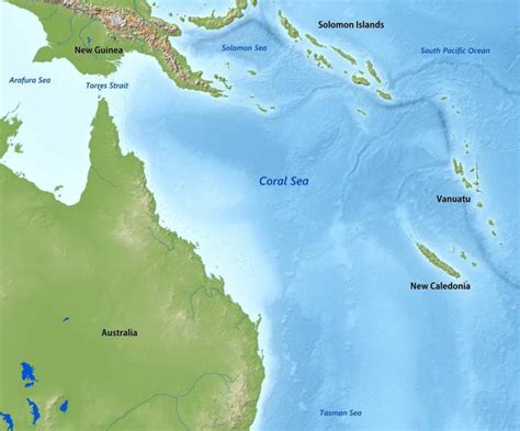 Visioning the Coral Sea Marine Park - Schmidt Ocean Institute