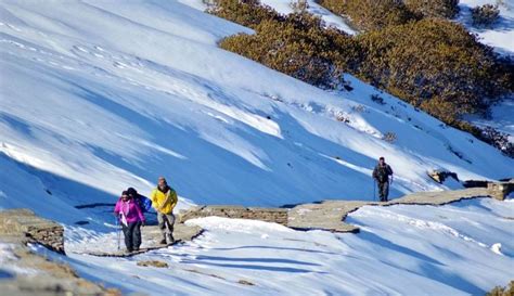 6 Best Reasons to Visit Chopta Valley in the Himalayas