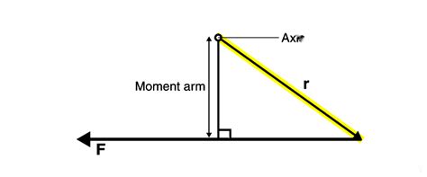 Understanding Rigid Body and Rigid Body Dynamics