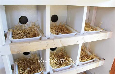 29 Chicken Nesting Boxes Plans You Can DIY This Weekend