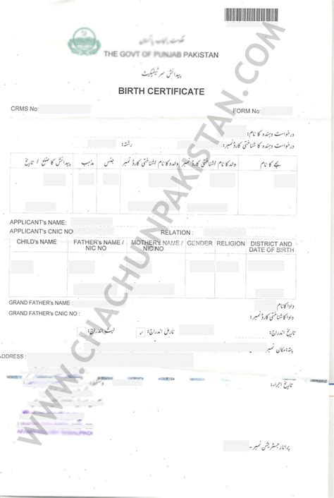 NADRA Birth Certificate Rawalpindi | Chachu in Pakistan