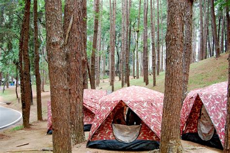 Everything You Need to Know About Camping in Doi Inthanon National Park