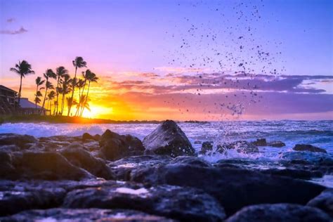 14 Best Spots to Watch the Sunset in Kauai (2024)