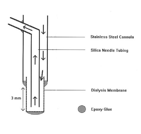 Microdialysis