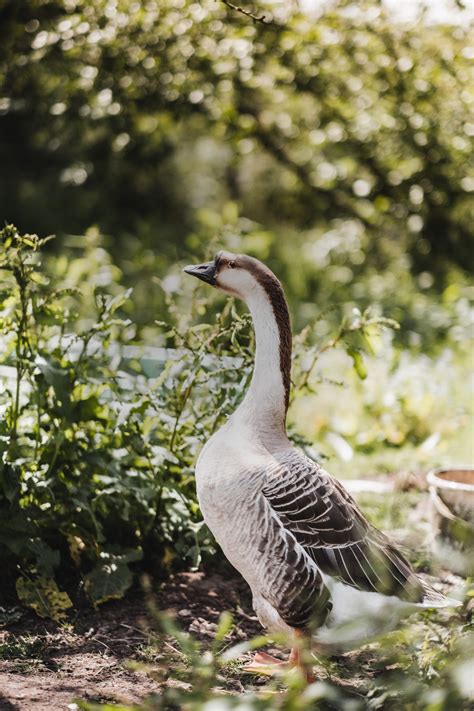 Luxury Cabin & Yurt Glamping | Norfolk Broads