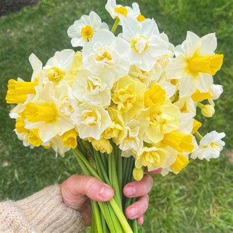 OTFF: Spring Flower Subscription: (May 2024, 4 weeks, weekly) – Old Tavern Farm