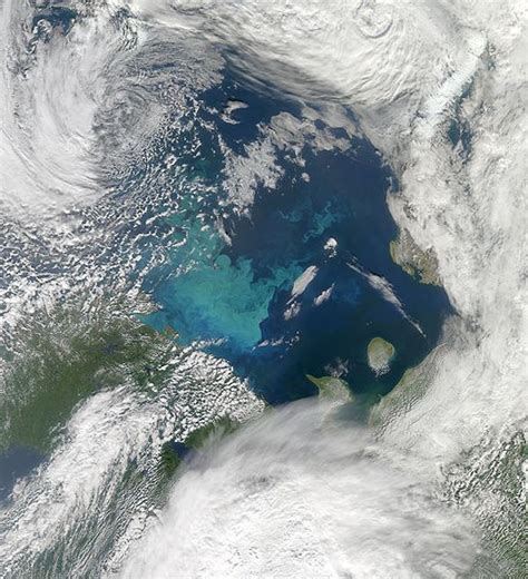 Why Phytoplankton Blooms Occur