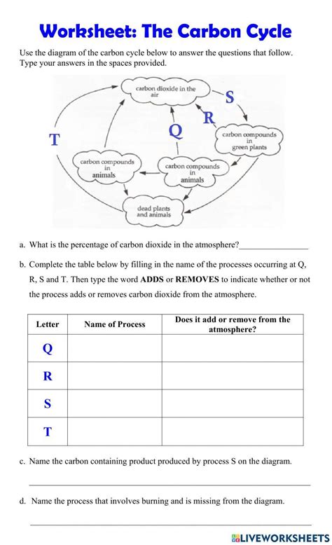 Free carbon cycle worksheet high school, Download Free carbon cycle ...