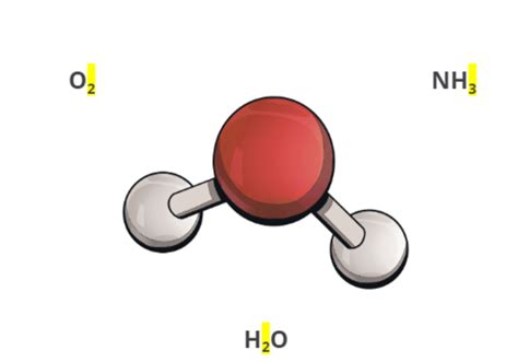 What is a Molecule? | Molecules and Matter | Science Wiki