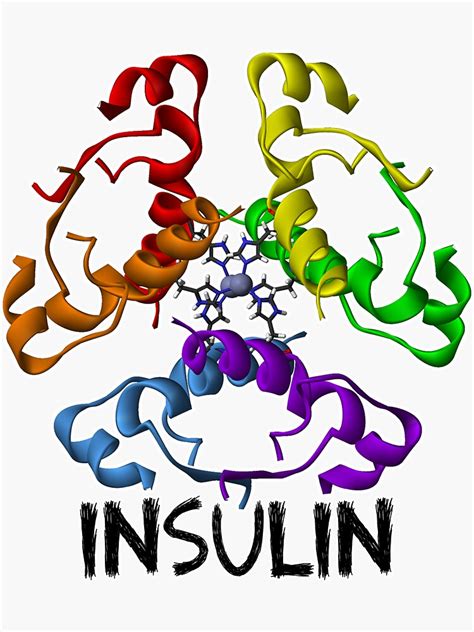 "Insulin Hexamer" Sticker by slicepotato | Redbubble