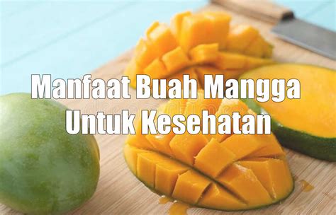 Manfaat Buah Mangga Untuk Kesehatan – Duren Wakroban