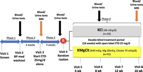 Potassium Magnesium Citrate Is Superior to Potassium Chloride in Reversing Metabolic Side ...