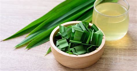 What Is Pandan? Benefits, Uses, Taste, and Substitutes