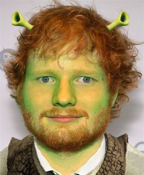 ed shrek!?!?😰 | Ed sheeran memes, Shrek funny, Ed sheeran facts