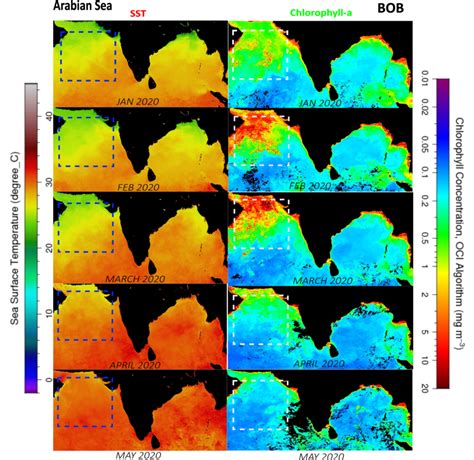 1. The NASA Ocean color level-3 browser data for SST is on the left and ...