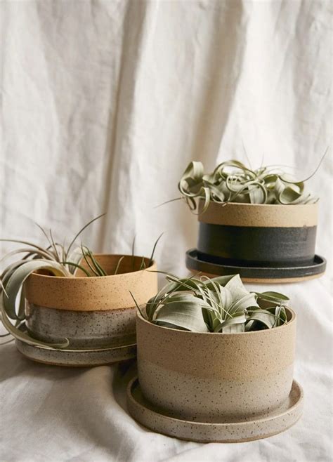 Pin on Pottery | Pottery plant pot, Pottery plant pots, Beginner pottery