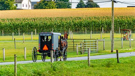 What Makes The Amish Community's Soul Food Unique?