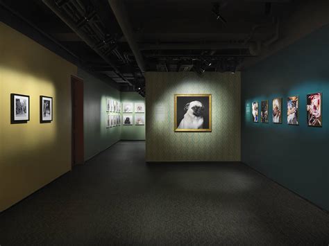 20 Best Museum Exhibits In NYC Right Now (2024)