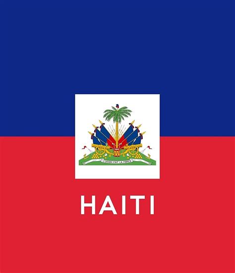 "Haiti Flag" Mini Skirts by lastinclass | Redbubble