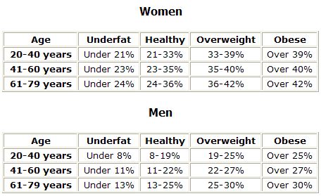 Visceral Body Fat Percentage Chart