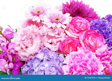 Bouquet of Various Kind of Flowers Stock Photo - Image of texas, gentian: 77367478