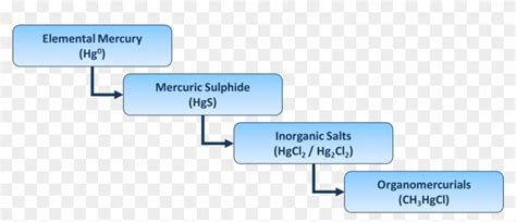 Mercury Is Particularly Problematic To The Oil And - Organic And Inorganic Mercury Clipart ...