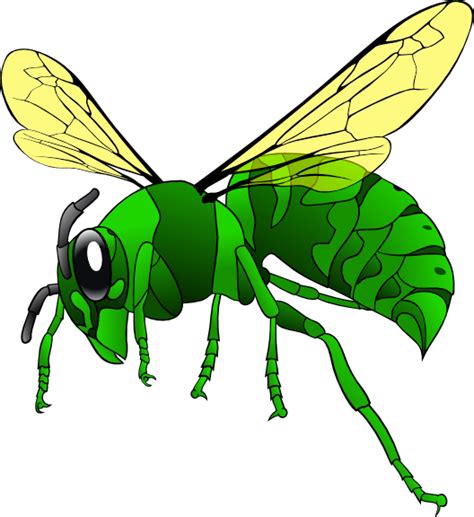 Green Hornet clip art Free Vector / 4Vector