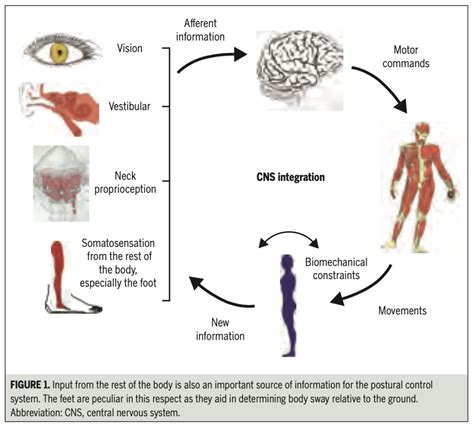 Cervicogenic vertigo - Dizziness-Doctor.com