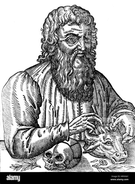 Hippocrates, Greek Physician, Father of Modern Medicine Stock Photo - Alamy