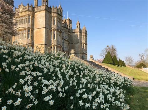 Englefield House Garden, Reading, Berkshire, RG7 5EN - National Garden Scheme