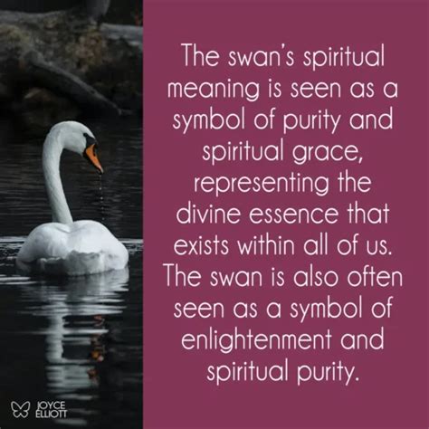 Swan Symbolism & 9 Meanings: Understanding The Spiritual Significance ...