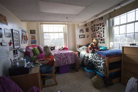 Dinosaurs in dorms: first-year community agreements gone wrong | The ...