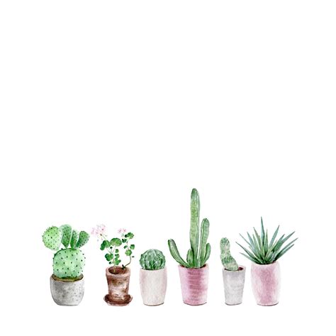 Succulent Aesthetic Desktop Wallpapers on WallpaperDog