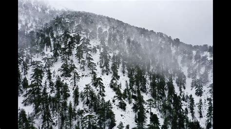 Snow in Troodos Mountains from the sky - Χιόνια στο Τρόοδος 29/12/2019 ...