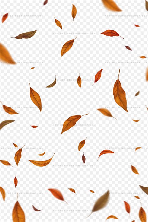 Realistic Falling Autumn leaves PNG overlay ⋆ The Aesthetic Shop