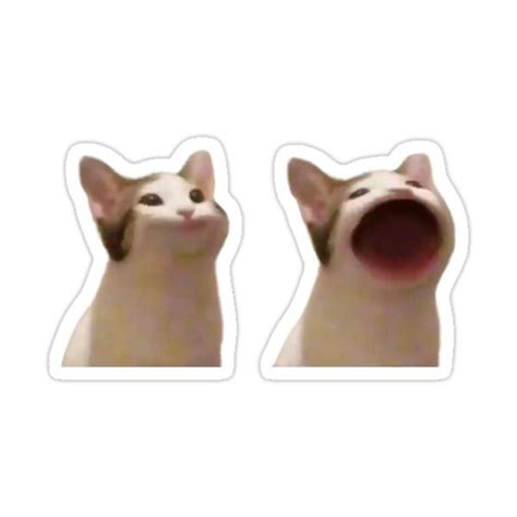 "Popping Cat Meme " Sticker for Sale by Merch-On | Weird stickers, Pop ...