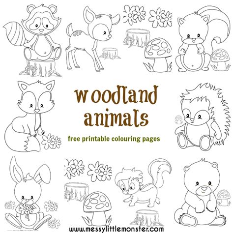 Woodland Animal Colouring Pages - Messy Little Monster