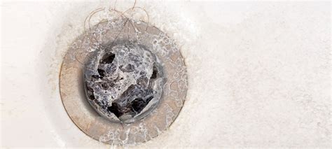 How To Remove A Shower Floor Drain Cover | Viewfloor.co